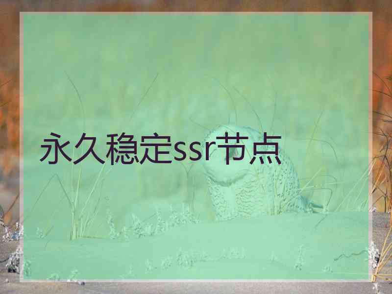 永久稳定ssr节点