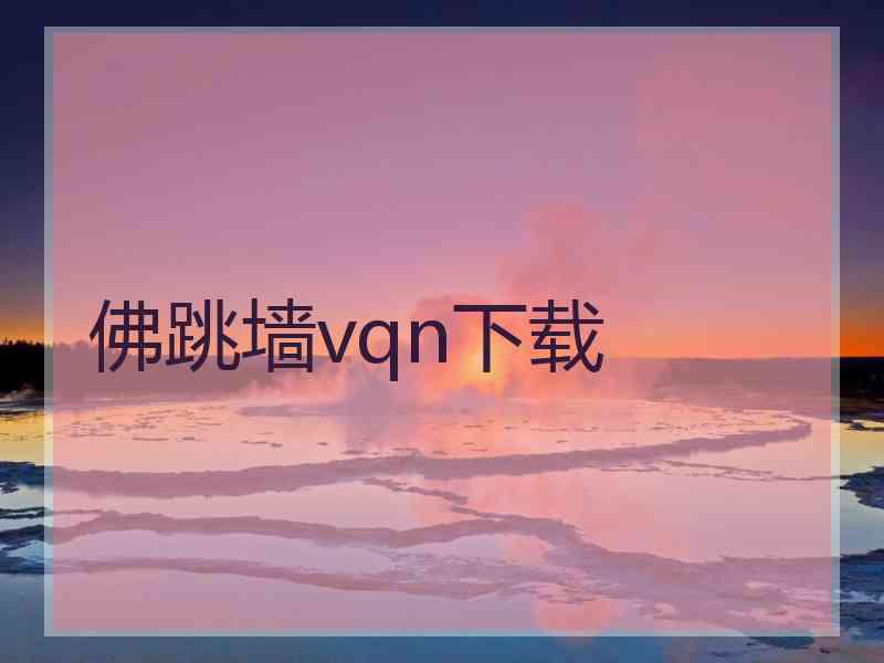 佛跳墙vqn下载