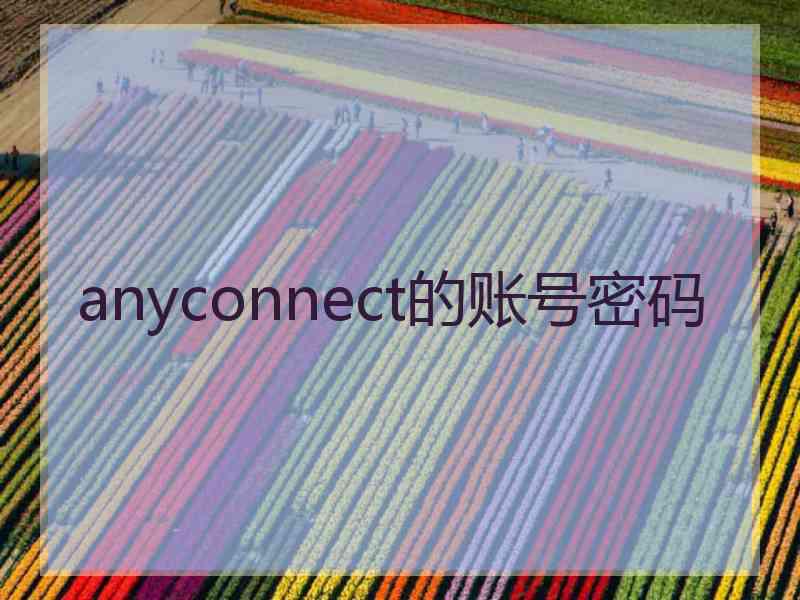 anyconnect的账号密码
