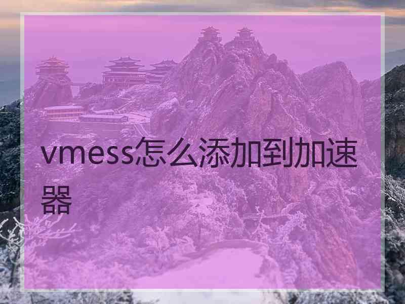 vmess怎么添加到加速器