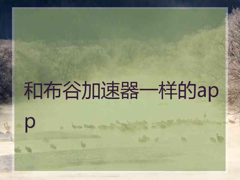 和布谷加速器一样的app