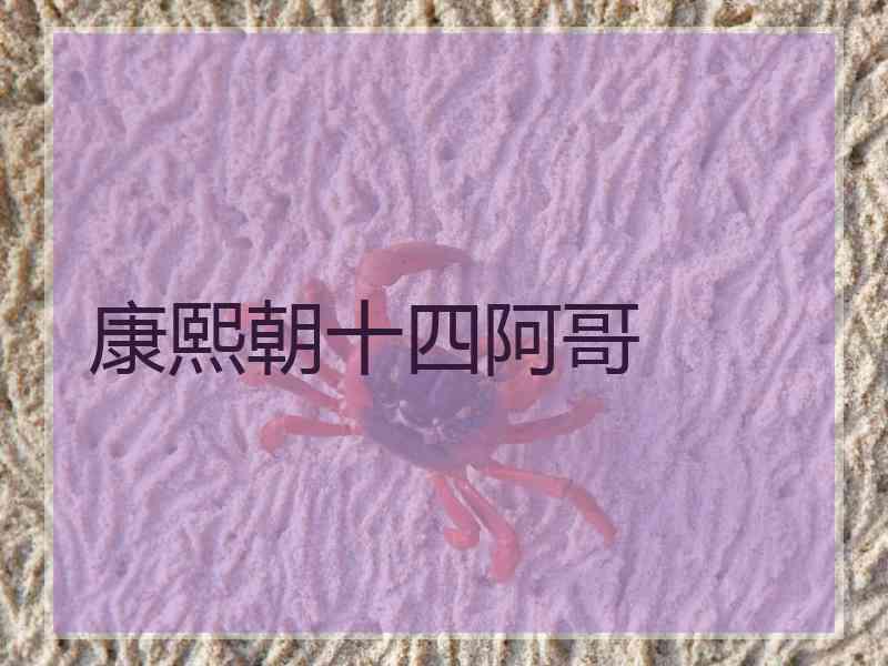 康熙朝十四阿哥