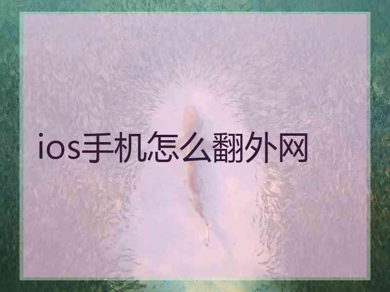 ios手机怎么翻外网
