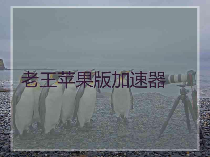老王苹果版加速器