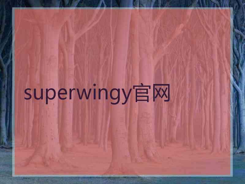 superwingy官网