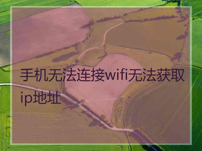 手机无法连接wifi无法获取ip地址