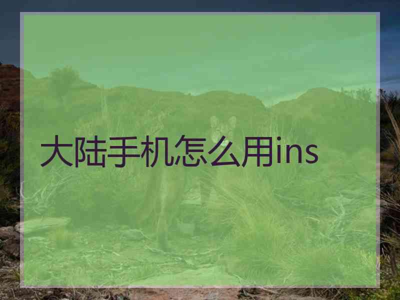 大陆手机怎么用ins