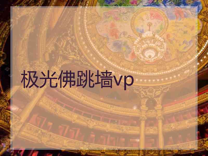 极光佛跳墙vp