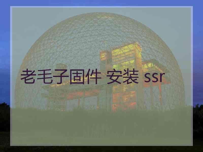 老毛子固件 安装 ssr