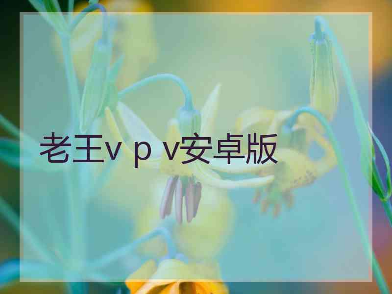 老王v p v安卓版