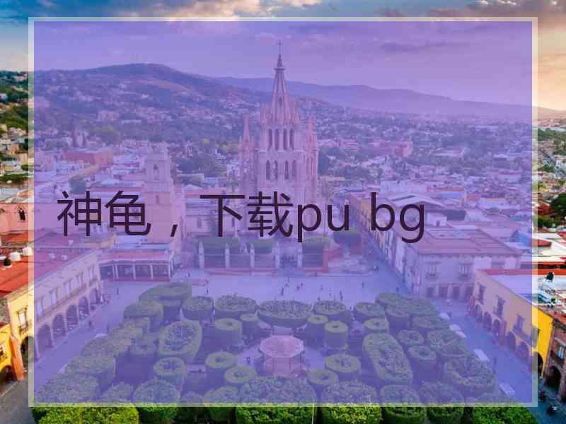 神龟，下载pu bg