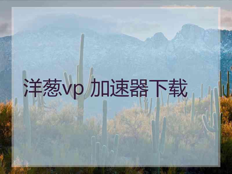 洋葱vp 加速器下载