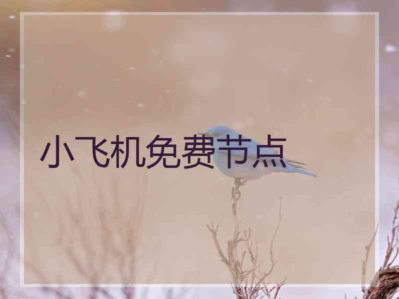 小飞机免费节点