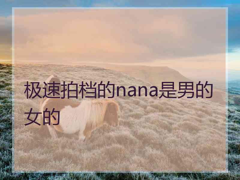 极速拍档的nana是男的女的