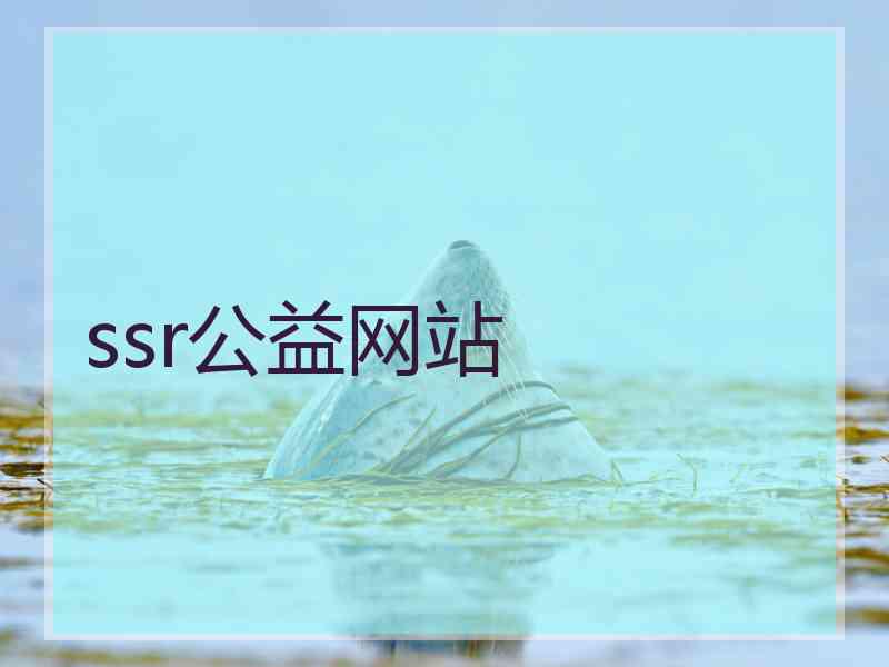 ssr公益网站