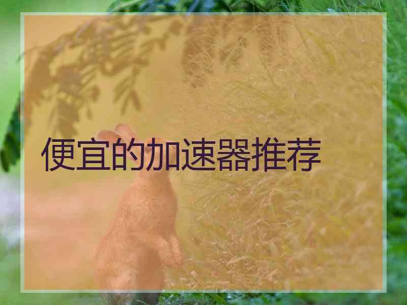便宜的加速器推荐