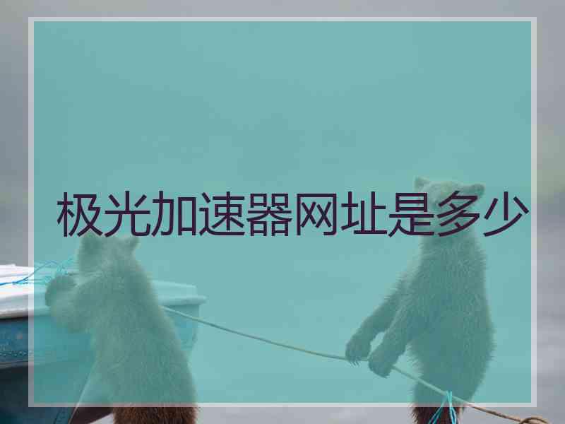 极光加速器网址是多少