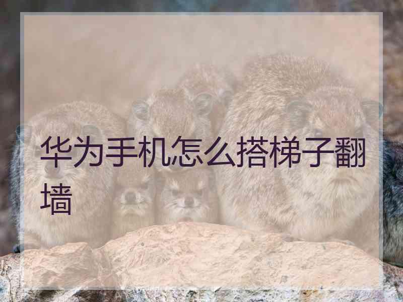 华为手机怎么搭梯子翻墙