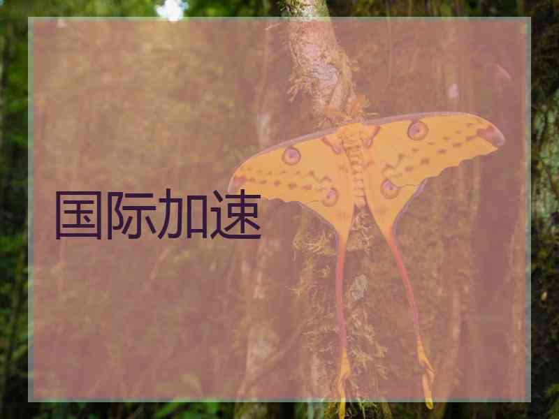 国际加速