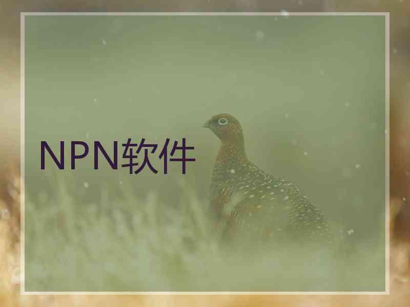 NPN软件