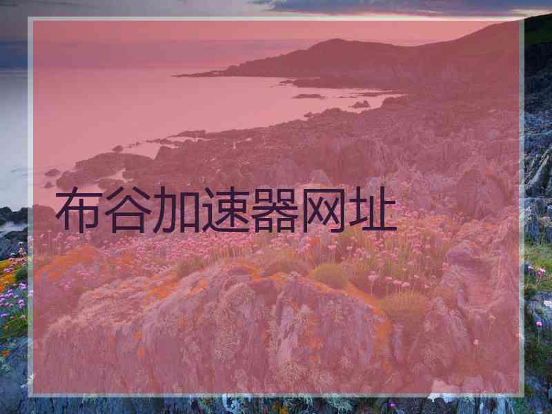 布谷加速器网址