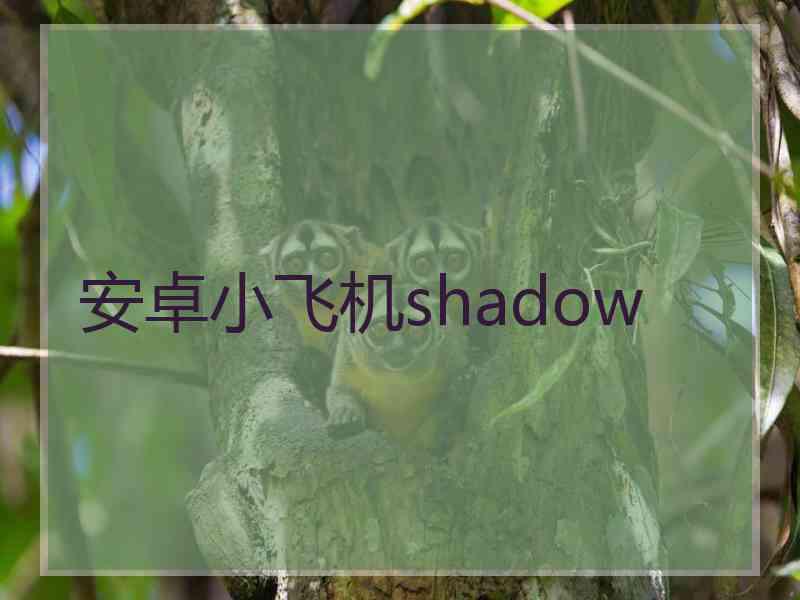 安卓小飞机shadow