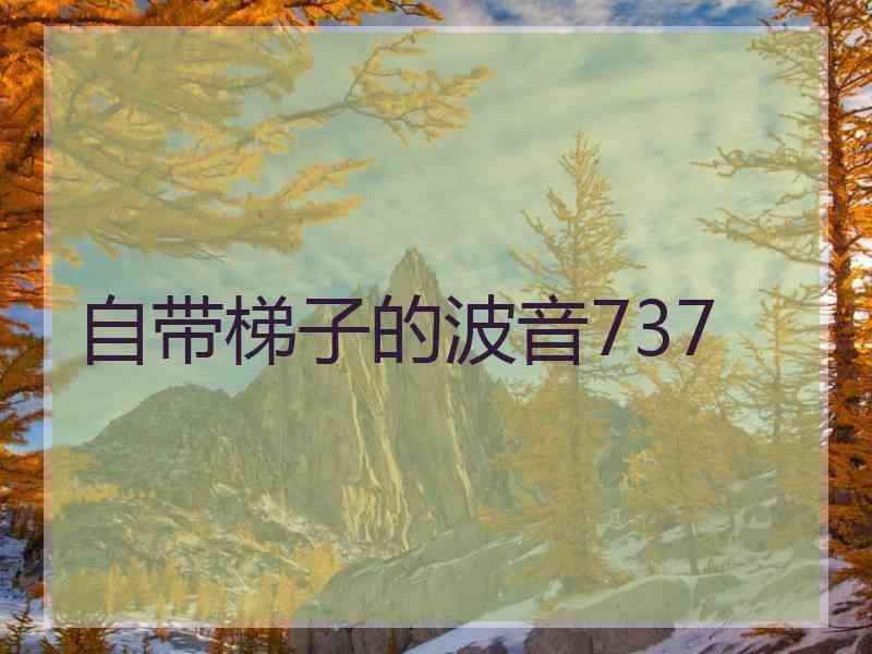 自带梯子的波音737