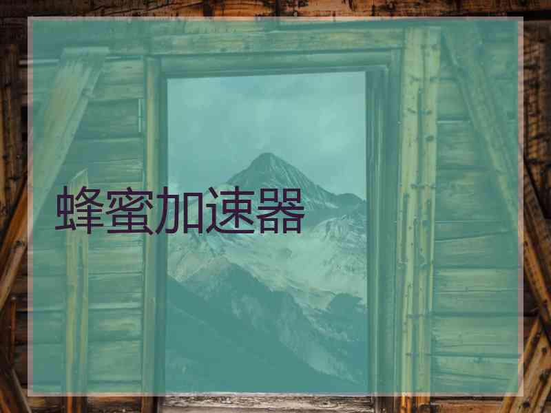 蜂蜜加速器
