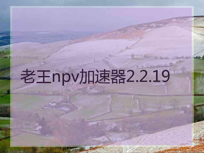 老王npv加速器2.2.19
