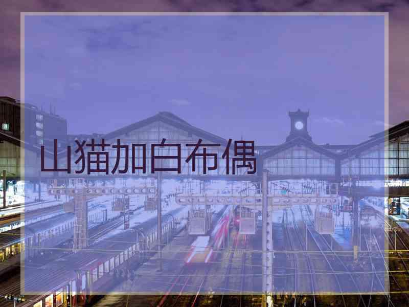 山猫加白布偶
