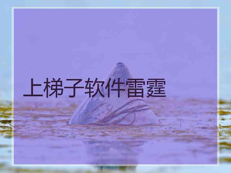 上梯子软件雷霆