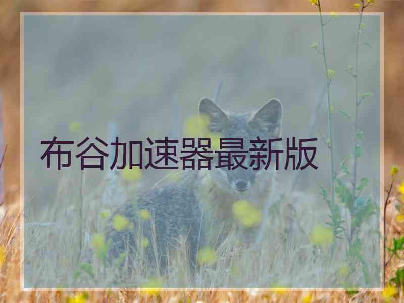 布谷加速器最新版