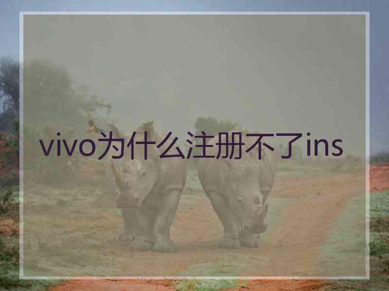 vivo为什么注册不了ins