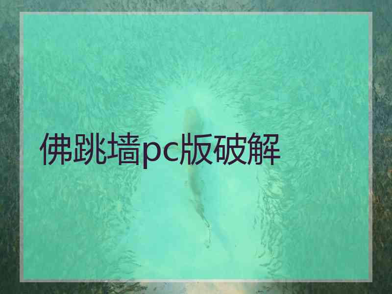 佛跳墙pc版破解