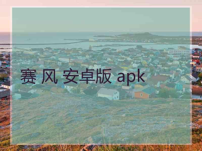 赛 风 安卓版 apk