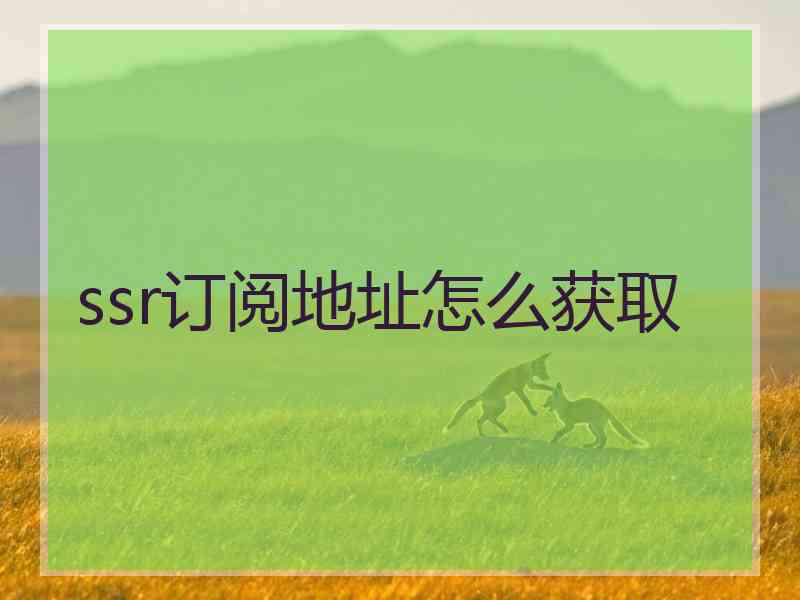 ssr订阅地址怎么获取