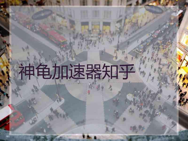 神龟加速器知乎