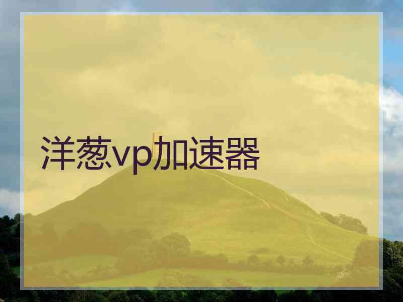 洋葱vp加速器