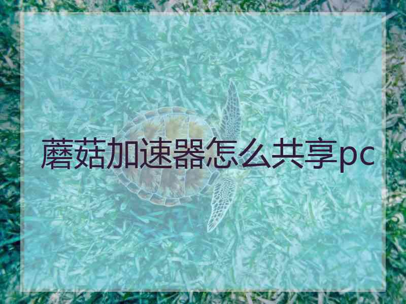 蘑菇加速器怎么共享pc