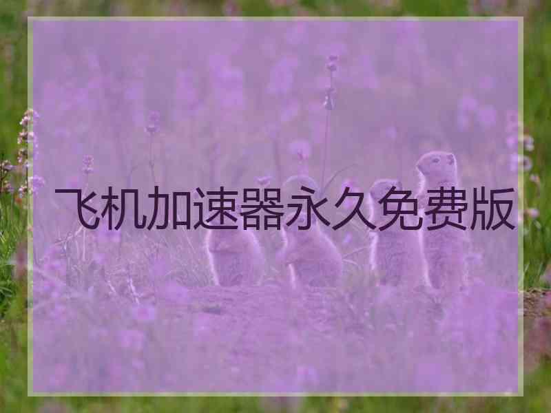 飞机加速器永久免费版