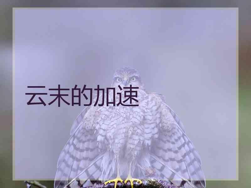 云末的加速
