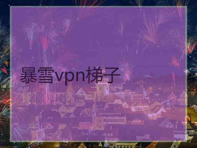 暴雪vpn梯子