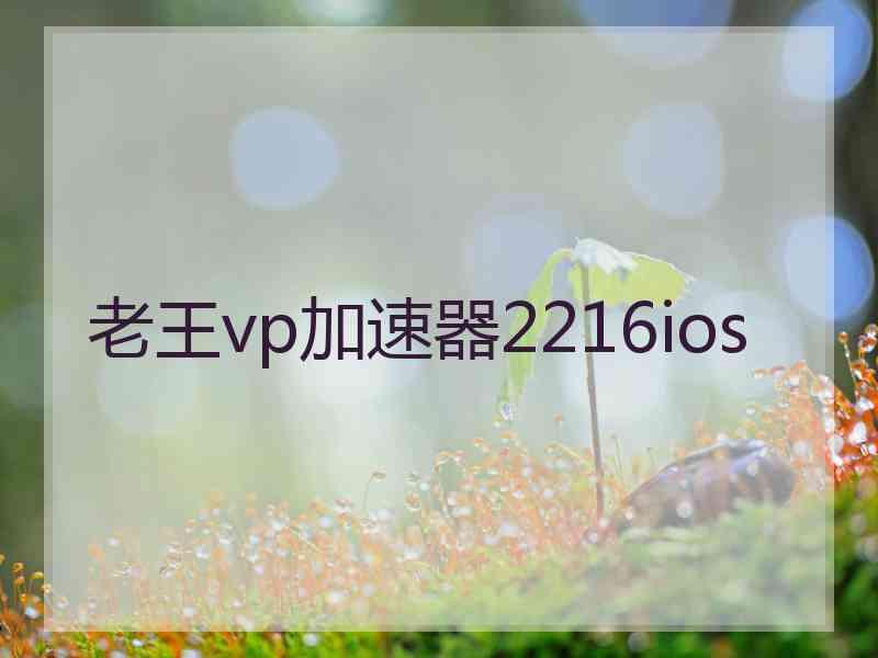 老王vp加速器2216ios