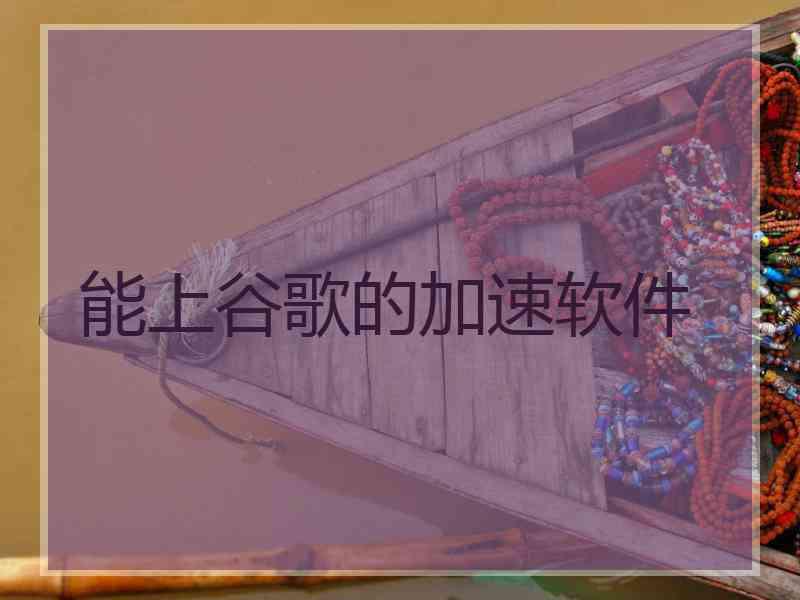 能上谷歌的加速软件