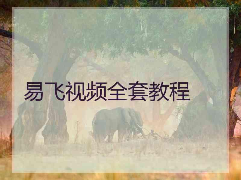 易飞视频全套教程