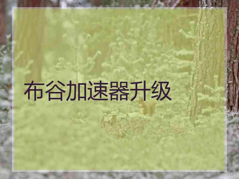 布谷加速器升级