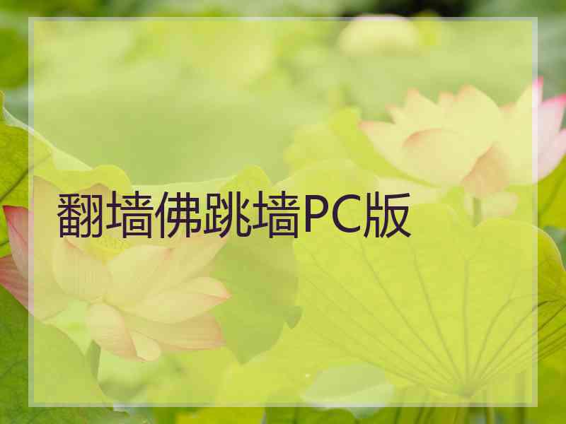 翻墙佛跳墙PC版