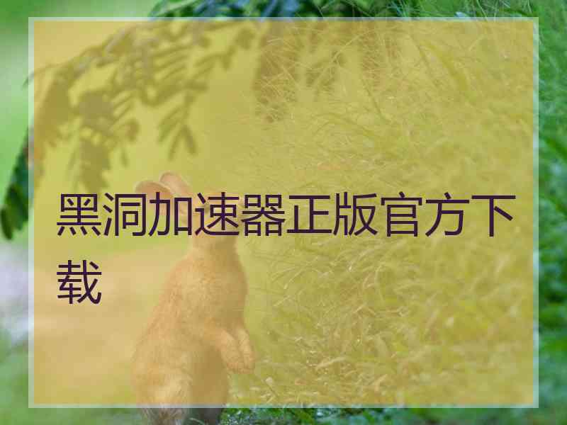 黑洞加速器正版官方下载