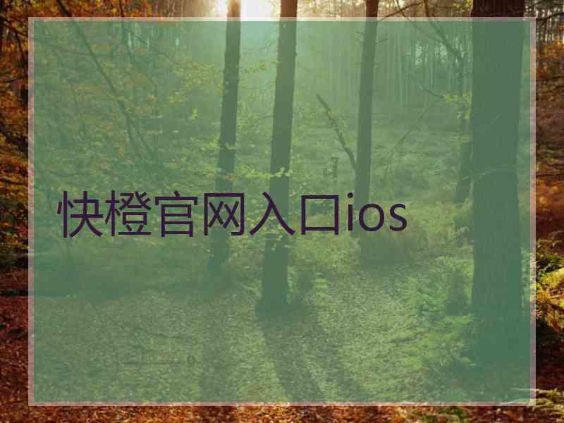 快橙官网入口ios