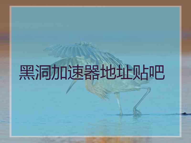 黑洞加速器地址贴吧